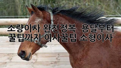 소량이사 완전정복 📦 용달부터 꿀팁까지! #이사꿀팁 #소형이사