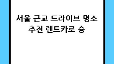 양천구 신정동 꿀팁! 🚗 렌트카 완전정복