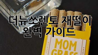 더뉴쏘렌토 재떨이 완벽 가이드